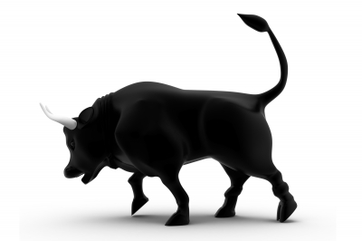 Stocks Investing Investor Stock Market Bull Bear 